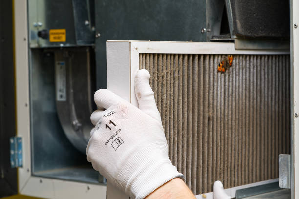 Best Air Duct Sanitizing Services  in Clifton, TX